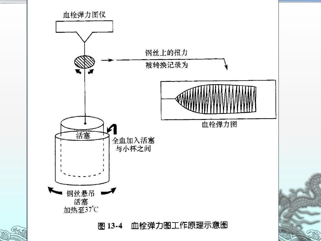 太阳成集团tyc33455cc